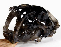 Giant 8.1" Smoky Quartz Rock Crystal Carved Crystal Smilodon SABER-TOOTHED Tiger/Cat Skull