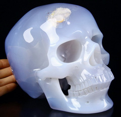 7.3" Blue Chalcedony Carved Crystal Skull,Super Realistic, Crystal Healing