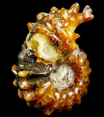 2.5" Ammonite Fossil Carved Crystal Skull