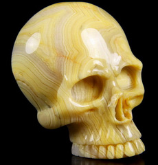 Crazy lace Agate Carved Crystal Skull Buckle