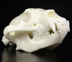 Giant 8.2" New White Jade Carved Crystal Panda Skull Sculpture