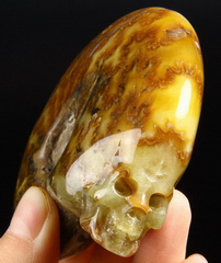 Nice 3.7" Ammonite Fossil Carved Crystal Skull