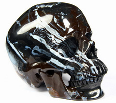 Gemstone Huge 5.2" Black Zebra Agate Carved Crystal Skull, Super Realistic