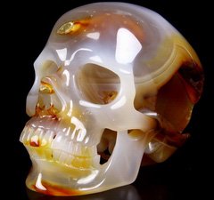 Huge 6.0" Carnelian Carved Crystal Skull