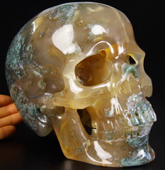 Top Quality Lifesized 7.6" Green Moss Agate Carved Crystal Skull, Super Realistic