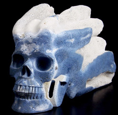 Giant 10.0" Blue Sponge Coral Carved Crystal Skull Sculpture