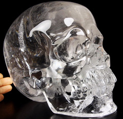 Clear Lifesized 8.3" Quartz Rock Crystal Carved Crystal Skull, Super Realistic