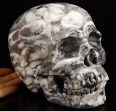 Lifesized 7.0" Sea Shell Marble Carved Crystal Skull, Super Realistic