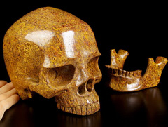 Lifesized 7.3" Elephant Skin Jasper, aka Miriam Stone, Calligraphy Stone, Cobra Jasper Carved Crystal Skull, Super Realistic