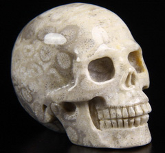 Gemstone 2.1" Coral Fossil Carved Crystal Skull, Realistic