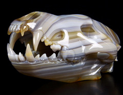 Nice Huge 6.7" Agate Carved Crystal Wolf Skull Sculpture