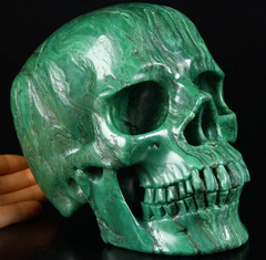 Lifesized 7.0" African Green Stone Verdite Carved Crystal Skull, Super Realistic