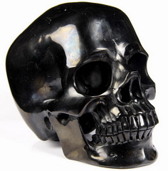 Huge 5.2" Jet Carved Crystal Skull, Super Realistic