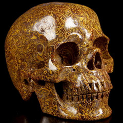 Huge 5.2" Elephant Skin Jasper, aka Miriam Stone, Calligraphy Stone, Cobra Jasper Carved Crystal Skull, Super Realistic