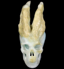 Awesome Huge 5.7" Blue Aragonite Carved Crystal Skull & Horns Sculpture