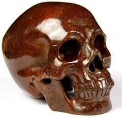 Gemstone 3.0" Dinosaur Sauropoda Bone Fossil Carved Crystal Skull, Super Realistic