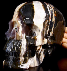 Gemstone Lifesized 6.5" Black Zebra Agate Carved Crystal Skull, Super Realistic