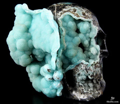 Amazing 3.6" Blue Aragonite Carved Crystal Skull Sculpture