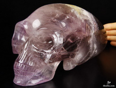 Gemstone Titan 9.6" Amethyst Carved Elongated Mayan Alien Crystal Skull