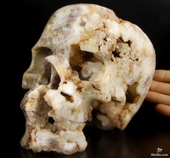 Lifesized 7.3" Agate Geode Carved Crystal Skull, Realistic