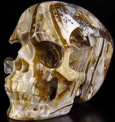 Huge 5.1" Tree Leaves Agate Carved Crystal Geode Skull, Super Realistic