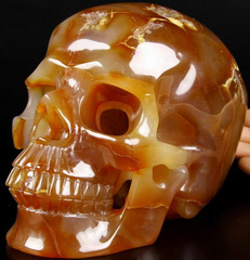 Lifesized 7.1" Carnelian with Geode Carved Crystal Skull, Super Realistic