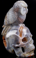 Lifesized 6.5" Mozambique Agate Carved Crystal Skull & Owl Sculpture