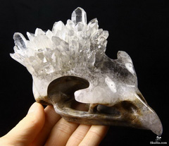 Huge 5.2" Quartz Druse Carved Crystal Eagle Skull Pendant