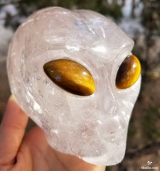 HUGE 3.9" Quartz Rock Crystal Carved Crystal Alien Skull with Gold Tiger Eye