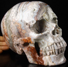Giant 7.7" Crazy Lace Agate Carved Crystal Skull, Super Realistic