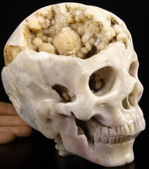 Giant 6.2" Agate Carved Crystal Skull with Spine