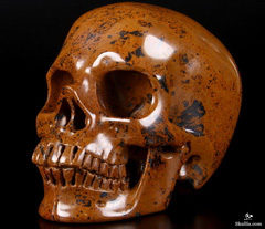 Huge 5.2" Mahogany Obsidian Carved Crystal Skull, Realistic