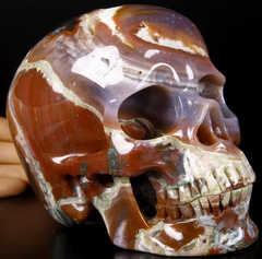 GEODE Lifesized 6.2" Black Zebra Agate Carved Crystal Skull, Super Realistic