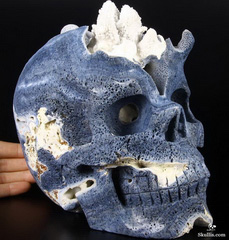 7.9" Blue Sponge Cora Carved Crystal Skull, Realistic