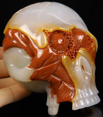 Original Design 3.5" Agate Carved Crystal Skull With Brain Sculpture, Realistic, Healing