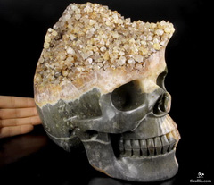 Giant 8.5" Citrine Druse Carved Crystal Skull, Realistic
