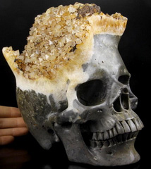 Lifeszied 7.3" Citrine Druse Carved Crystal Skull, Super Realistic