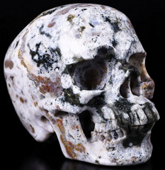 5.7" Ocean Jasper Carved Crystal Skull, Super Realistic, Crystal Healing
