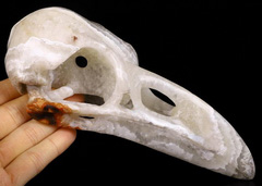 6.6" Red Crazy Lace Agate Carved Crystal Raven Skull Pendant
