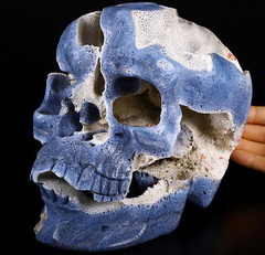 GIANT 8.1" Blue Sponge Coral Geode Carved Crystal Skull, Super Realistic, Crystal Healing