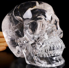 Lifesized Clear 6.5" Quartz Rock Crystal Carved Crystal Skull With Sutures,Super Realistic, Crystal Healing