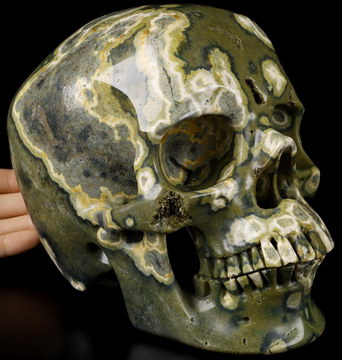 Lifesized 7.8" Ocean Jasper Carved Crystal Skull,Super Realistic, Crystal Healing