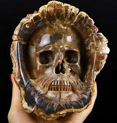Original 6.1" Petrified Wood Branch Carved Crystal Skull Sculpture, Crystal Healing