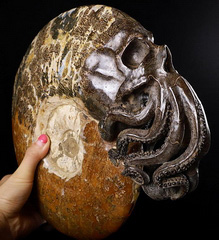 Amazing Giant 12.1" Ammonite Fossil Carved Crystal Skull Sculpture, Crystal Healing