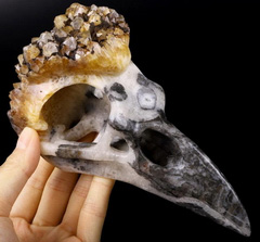6.8" Citrine Druse Carved Crystal Raven Skull, Pendant, Crystal Healing