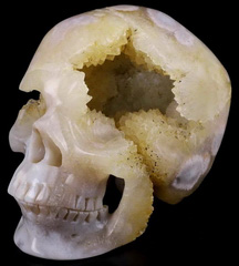 Huger 5.0" Sakura Agate Geode Carved Crystal Skull,Super Realistic, Crystal Healing
