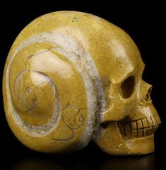 3.3" Trochus Carved Crystal Skull, Crystal Healing