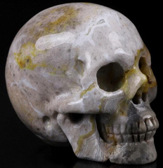 2.0" Crazy Lace Agate Carved Crystal Skull, Realistic, Crystal Healing