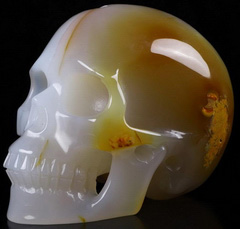Huge 3.8" Agate Carved Crystal Skull, Realistic, Crystal Healing