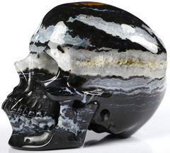 GEMSTONE 5.0" Black Zebra Agate Carved Crystal Skull,Super Realistic, Crystal Healing